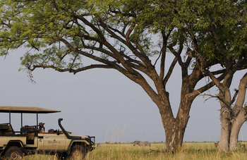Shinde Lodge Shinde Lodge: Zebra