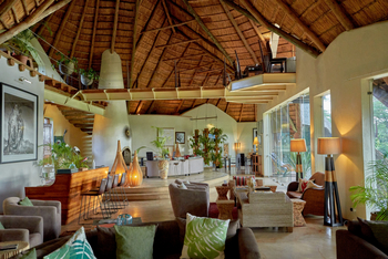 Solio Lodge: Lounge und Bar