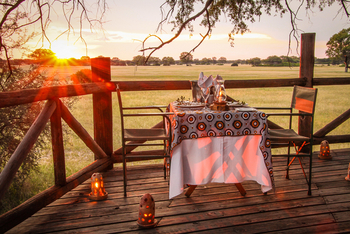 The Hide: Dove's Nest Treehouse