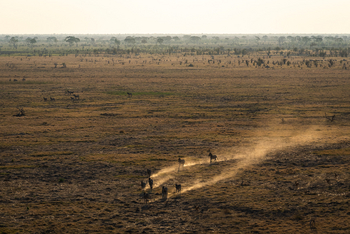 Wilderness Mokete Camp: Staubfahnen