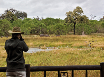 Belmond Khwai River Lodge: Veranda-Safari