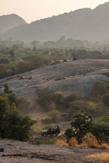 Bera Safari Lodge: Safari