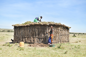 Encounter Mara Camp: Traditionelle Hütte