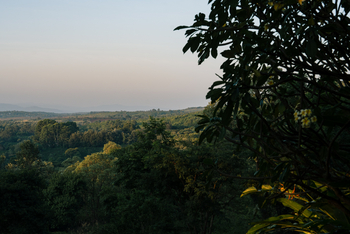 Gibb's Farm: Blick in die Ferne