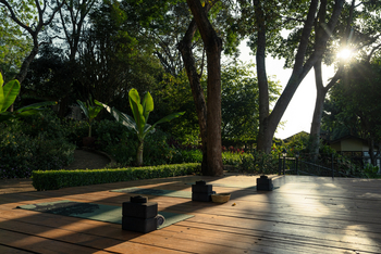 Gibb's Farm: Yoga Deck