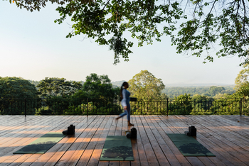 Gibb's Farm: Yoga am Morgen