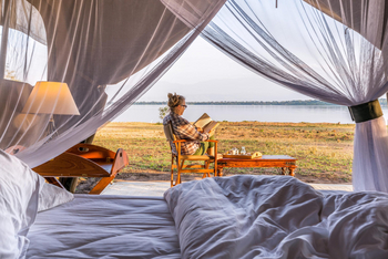 Honey Bear Bushcamp: Lektüre