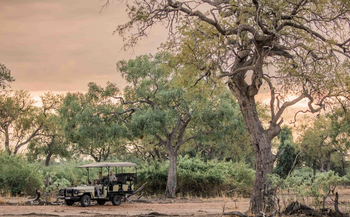 Kafunta River Lodge: Game Drive im Busch
