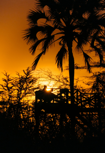 Kisima Ngeda Camp: Aussichtsplattform