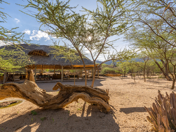 Koros Camp: Alter Baumstamm am Hauptgebäude