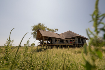 Motswiri Hideaway: Während der Greenseason