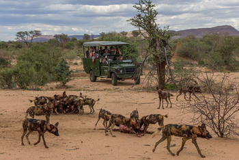 Old Traders Lodge: Wildhundrudel