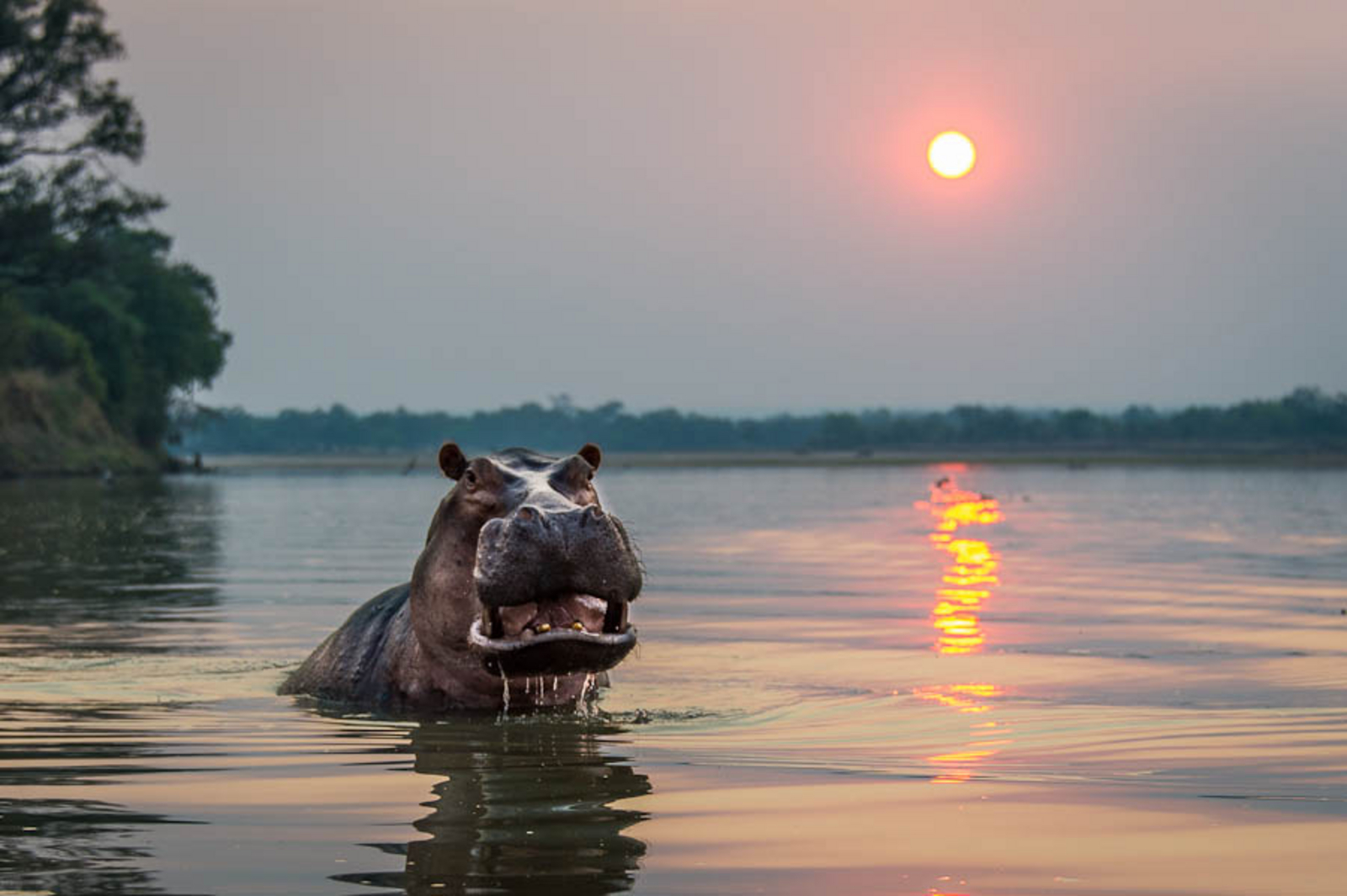 Robin Pope Safaris Robin Pope Safaris