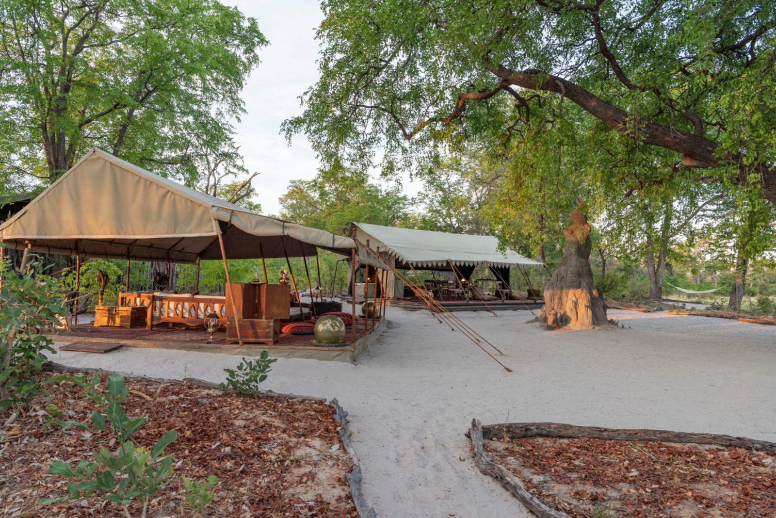 Selinda Explorers Camp Selinda Explorers Camp: Lounge- und Speisezelt