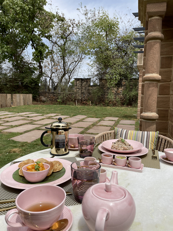 The Postcard Gir Wildlife Sanctuary: Snack