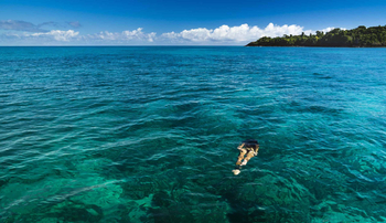 Time + Tide Tsara Komba: Schnorcheln