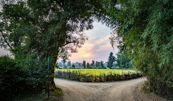 Treehouse Hideaway: Blick auf die Felder