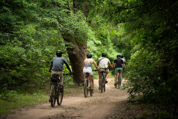 andBeyond Phinda Forest Lodge: Bike Ride