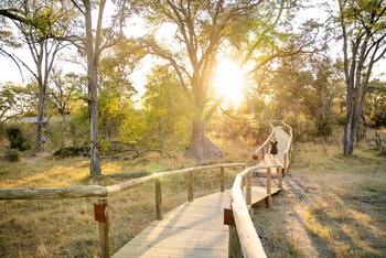 4 Rivers Camp 4 Rivers Camp: Steg zu den Gästezelten