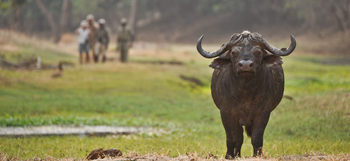 Old Mondoro Camp: Walking Safari