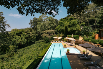 Gibb's Farm: Poolbereich