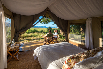 John's Camp John's Camp: Gästezelt - Interieur