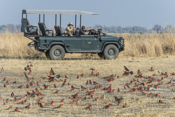 King's Pool Camp King's Pool Camp: Karminspinte