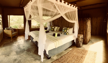 Leopard Plains: Doppelbett mit Moskitonetz