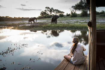 Meno A Kwena Camp Meno A Kwena Camp: Elefanten nahe des Camps