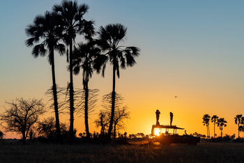 Camp Kalahari Camp Kalahari: Game Drive