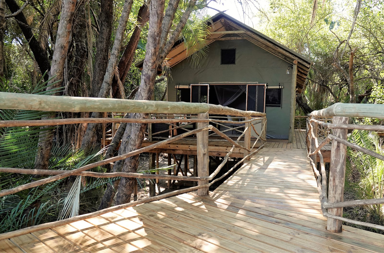 Setari Camp Setari Camp: Holzsteg zum Zelt