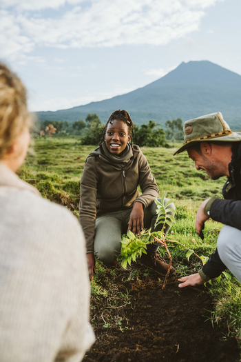 Singita Kwitonda Lodge: Bäume pflanzen