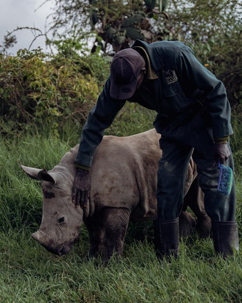 Solio Lodge: Baby-Rhino