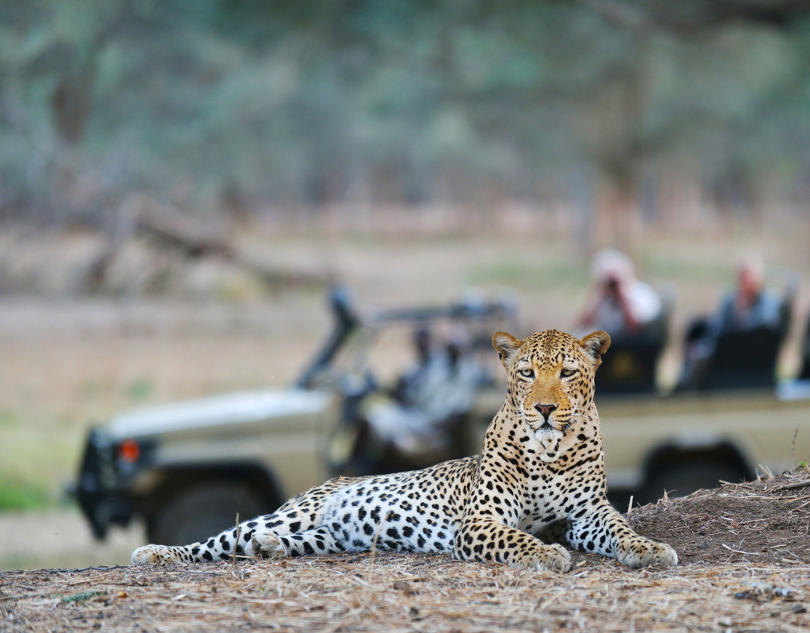 Old Mondoro Camp Old Mondoro Camp