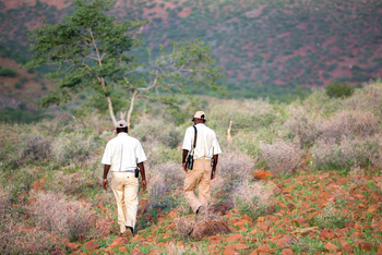 Grootberg Lodge: Rhino Tracking und Moringa Walk