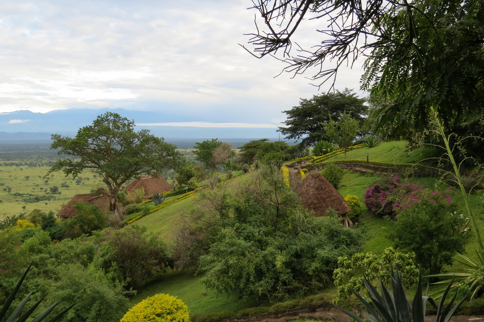 Katara Lodge Katara Lodge: Cottages im Garten