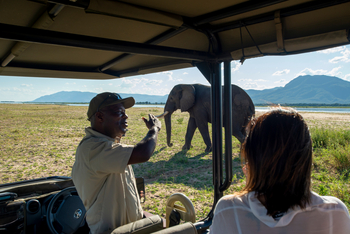 Nyamatusi Camp Nyamatusi Camp: Elefant rechts zum Auto