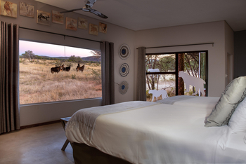 Okonjima Plains Camp: View Room