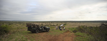 Phinda Mountain Lodge: Pause im Busch