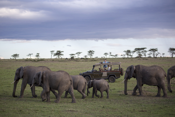 Richard's River Camp: Game Drive