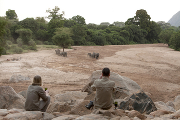 Wayo Manyara Green Camp: Elefantenbeobachtung