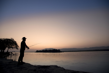 Zambezi Expeditions: Angler