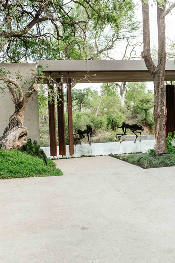 Cheetah Plains Mapogo House: Eingangsbereich