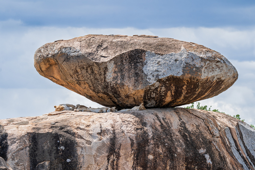 Elewana Serengeti Migration Camp