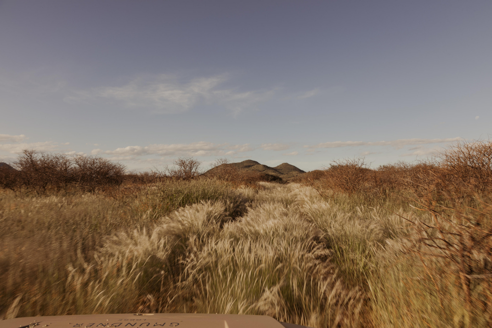 Gmundner Lodge Gmundner Lodge: Graslandschaft