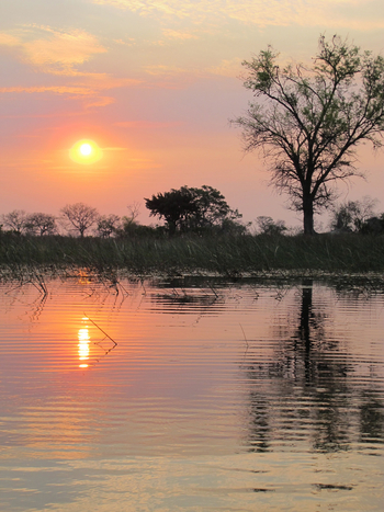 Kujwana Camp: Sonnenuntergang