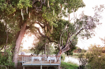 Matetsi Victoria Falls: Speisedeck umgeben von Bäumen