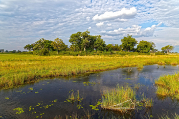 Nambwa Tented Lodge: Wolken, Wasser Savanne