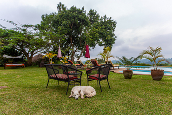 Ndali Lodge: Garten in der Lodge mit Hund