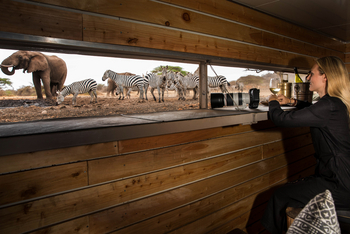 Ol Donyo Lodge: Photographic Hide